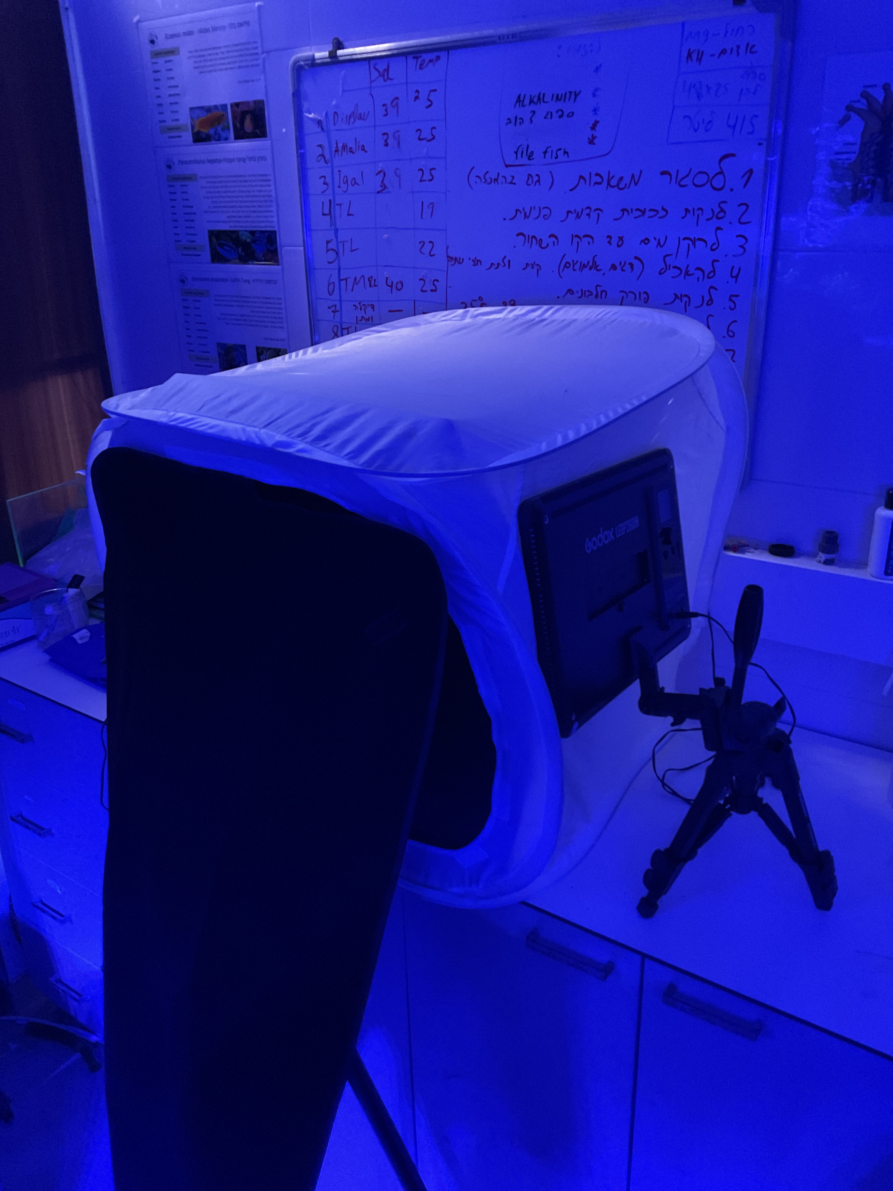 Figure 24: Imaging rig V6. two lights were used, one on each side.